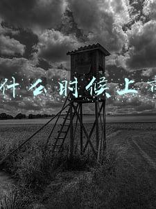 se2什么时候上市的