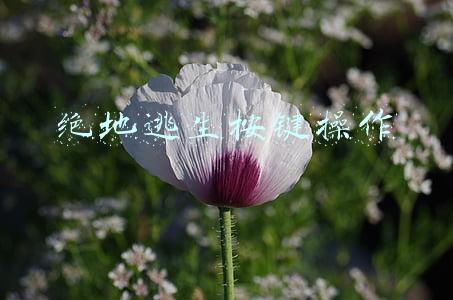绝地逃生按键操作