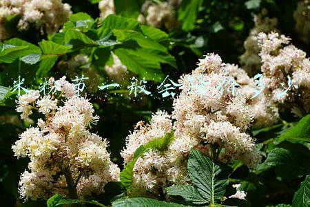 米粉节一般会降价多少