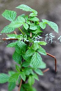 米粉节一般会降价多少
