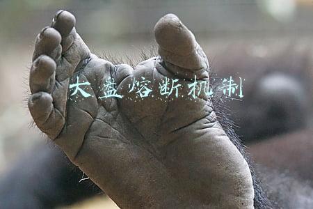 大盘熔断机制