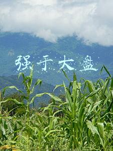 强于大盘