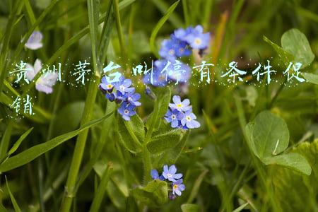 贵州茅台叫停有条件促销(贵州茅台叫停有条件促销，电商和商超紧急修改规则)
