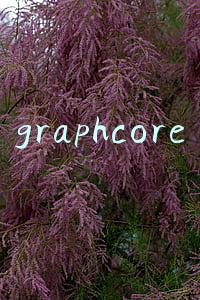 graphcore