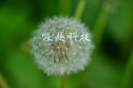 喔趣科技