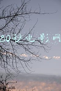 80秒电影网