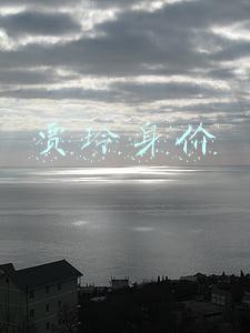 贾玲身价