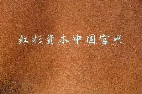红杉资本中国官网