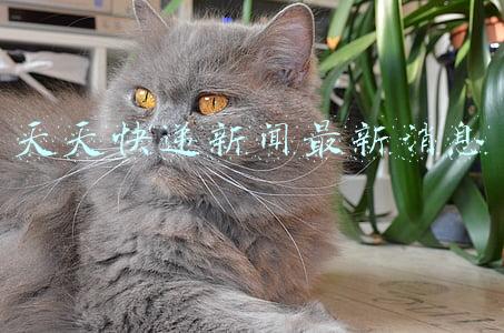 天天快递新闻最新消息