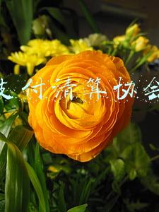 中国支付清算中心(一座“金融中心”一处“城市之光”)
