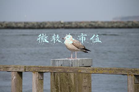 微软总市值