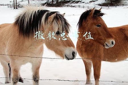 微软总市值
