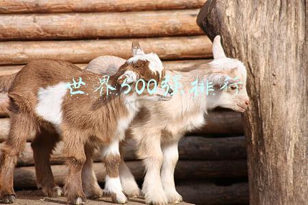 太平洋在财富世界500强排行(列第193位！中国太保连续十年入选《财富》世界500强)