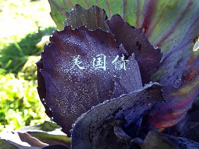 美国债