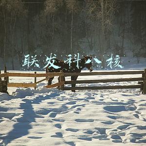 联发科八核