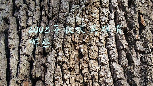 2008年救灾英雄有哪些