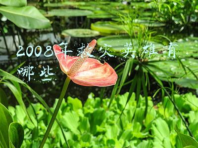 2008年救灾英雄有哪些
