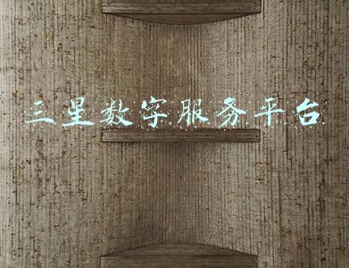 三星数字服务平台