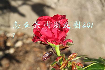 怎么关闭朋友圈2017