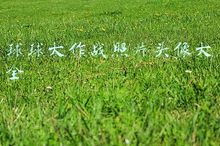 球球大作战照片头像大全