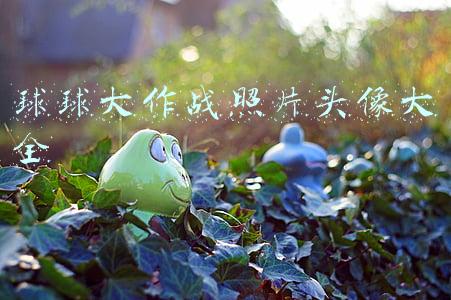 球球大作战照片头像大全