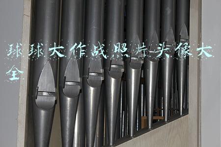 球球大作战照片头像大全