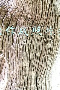 球球大作战照片头像大全