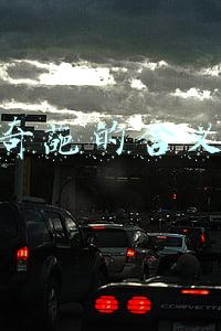 奇葩的含义
