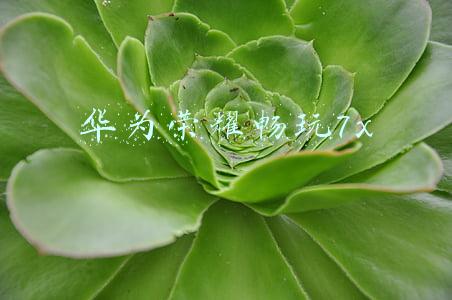 华为荣耀畅玩7x