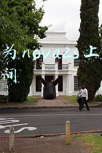 华为nova2s上市时间