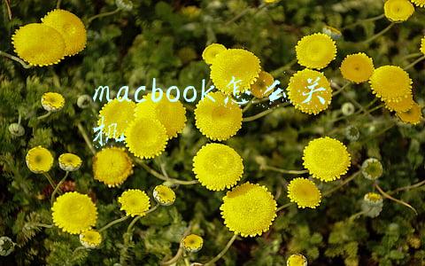 macbook怎么关机