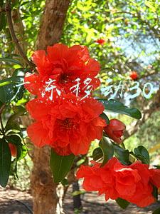广东移动30