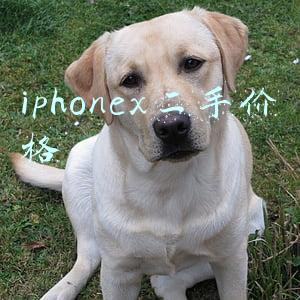 iphonex二手价格