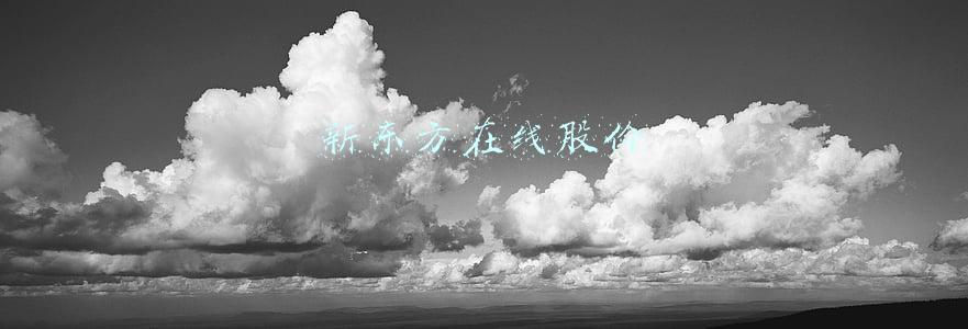 新东方在线股价