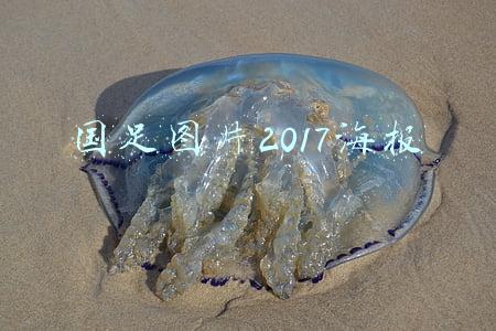 国足图片2017海报