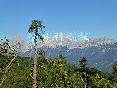 今日科创板股市行情(沪指失守3100点 创业板指下跌近4% 赛道股大幅反弹之后资金博弈加剧)