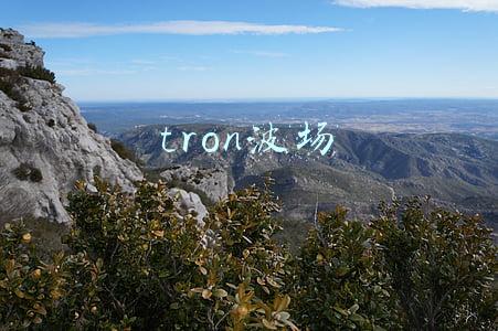 tron波场