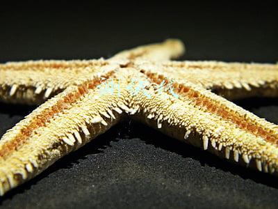 测试线