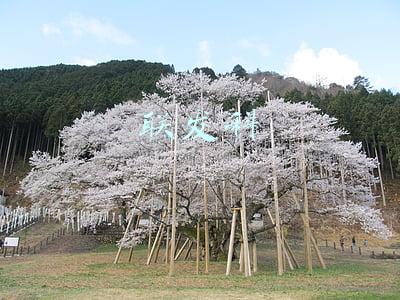 联发科处理器排行(极客湾发布移动芯片能效排行榜：天玑 8100 赢麻了)