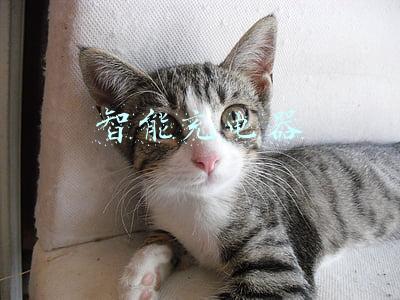 智能充电器