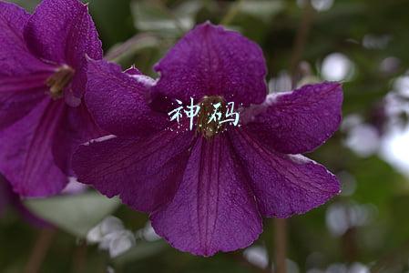 神码融信和神州信息(华为一体机打造中原银行“稳定、高效、安全”测试环境)