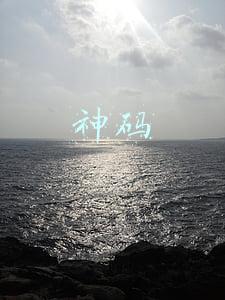 神码公司(神码在线因子公司受税务处罚 被风险提示)