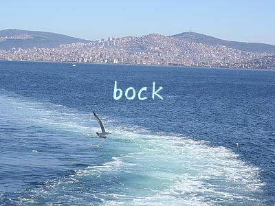 bock
