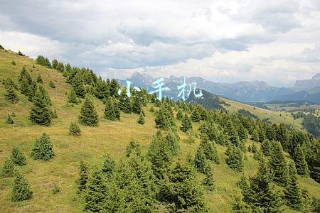 小手机