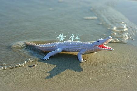 黄钢