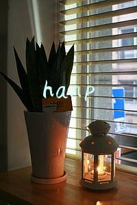 hanp