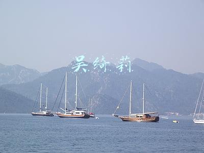 吴绮莉