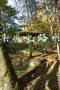 集成电路网