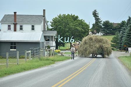 ku6