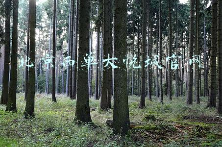 北京西单大悦城官网